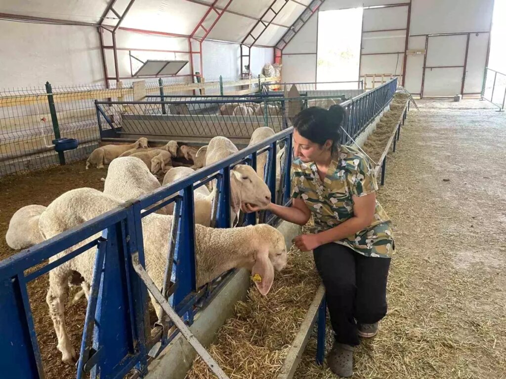 genc veterinerden yapay zeka ile hayvanciliga yenilik GAhnvDb4