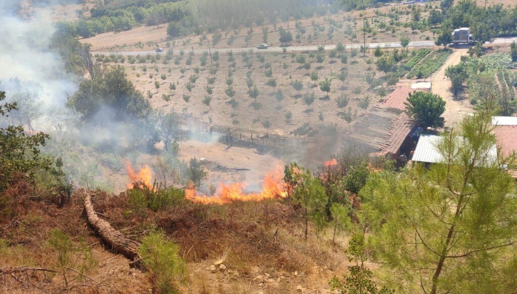 sindirgida orman yangini KByKY4Nl