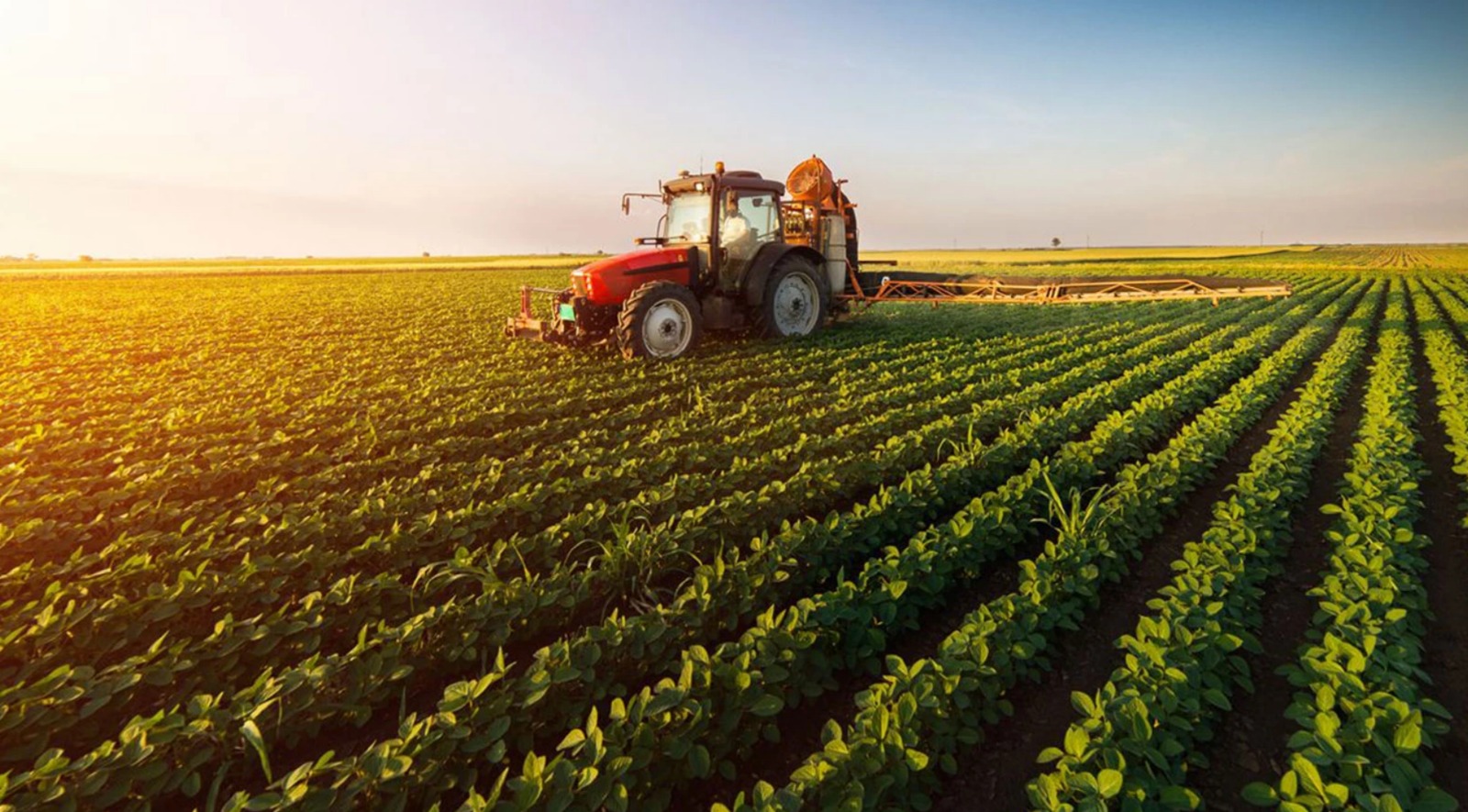 tarim sektorunde kotu haber cZOWQKRv