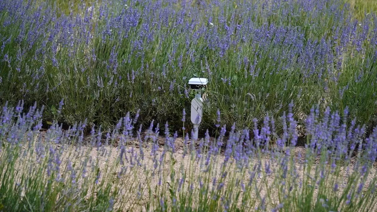 turkiyede ilk leo uydu iletisim yetkilendirmesi Vnbk38Ms