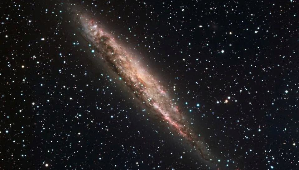 abdli gokbilimci arastirdi insanlar evrende bir istisna olabilir 1lCsPApO