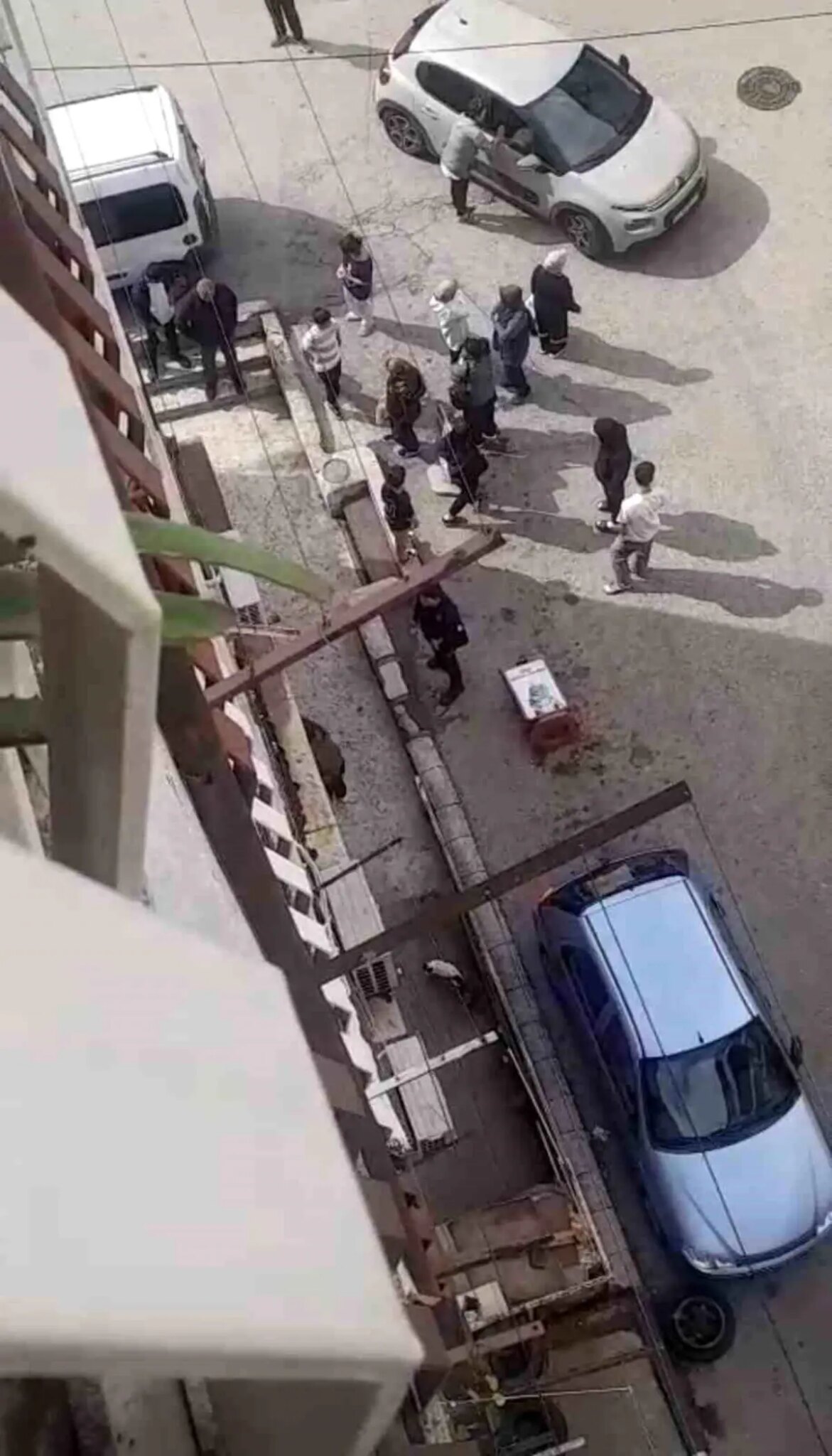 bursada petshopta taciz iddiasi mYGclYEE