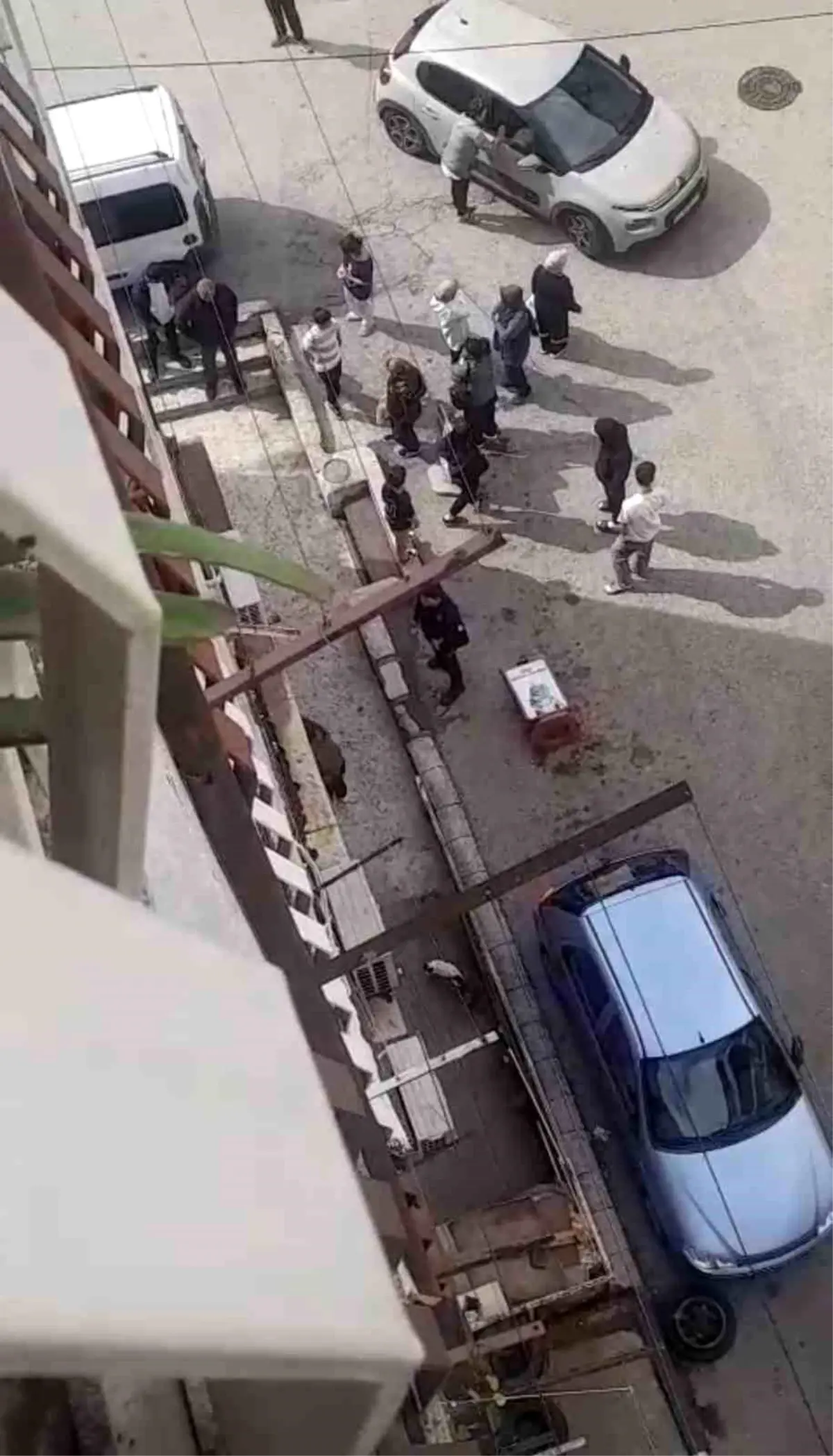 bursada petshopta taciz iddiasi mYGclYEE