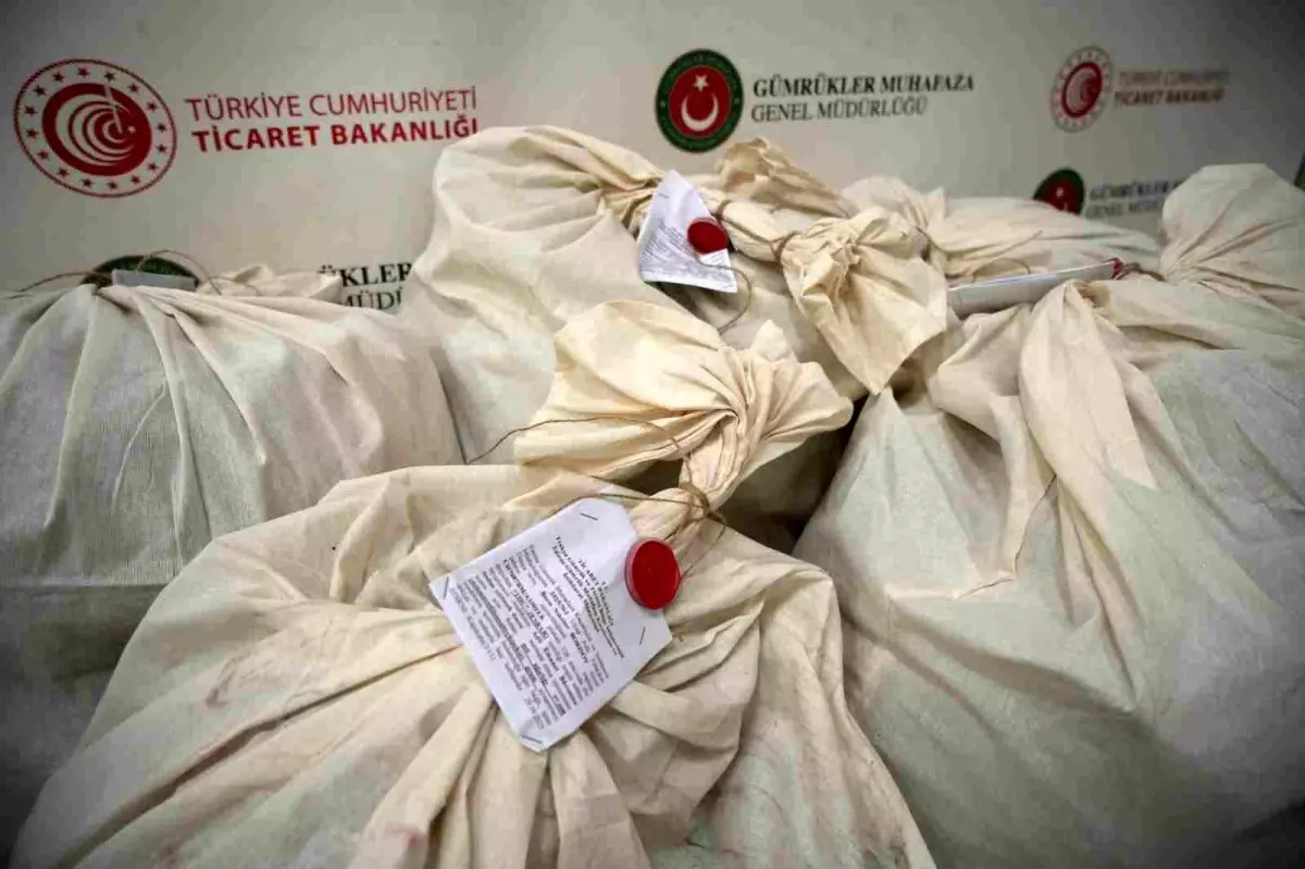 edirne kapikule gumruk kapisinda 113 kilogram esrar ele gecirildi 7dr1L7aT