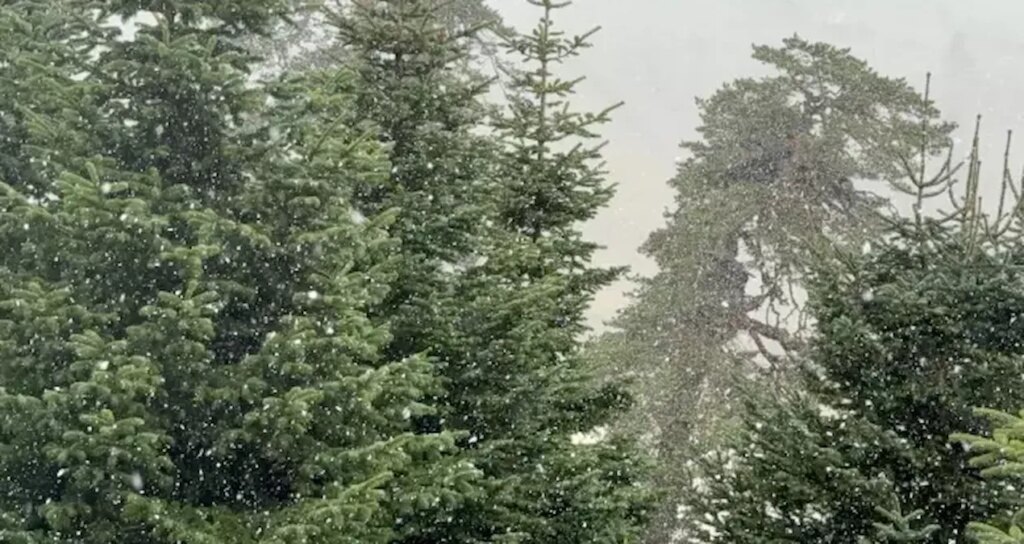 istanbulun yanibasinda lapa lapa kar yagdi ldHdgywN