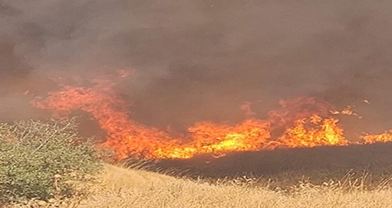 izmirde anizda cikip agaclik alana sicrayan yangin sonduruldu e4qBaDm3