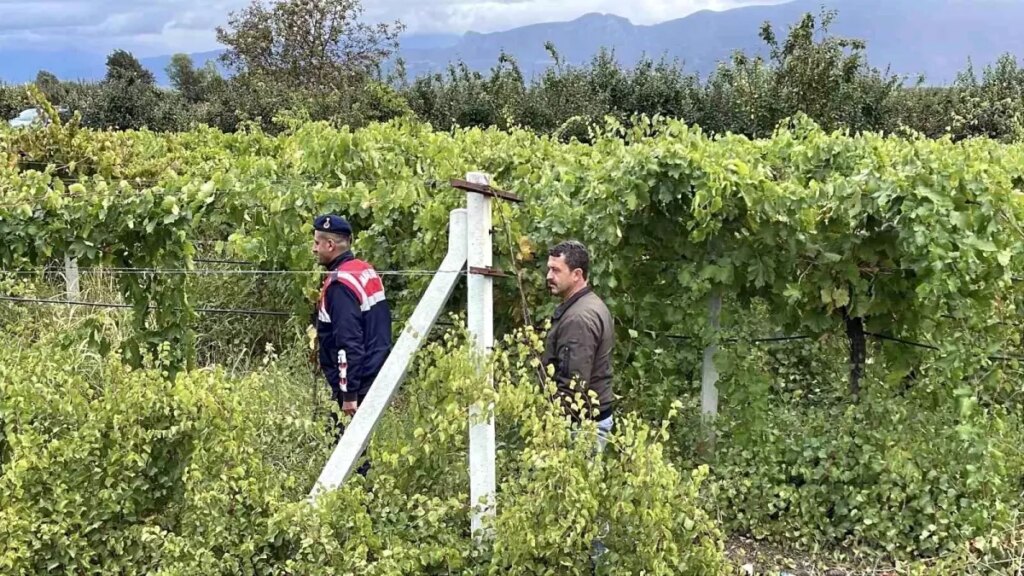 pamukovada uzum ureticileri nobette F8GYk2tn.jpg