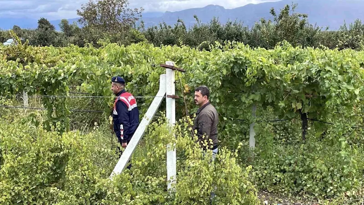 pamukovada uzum ureticileri nobette F8GYk2tn.jpg