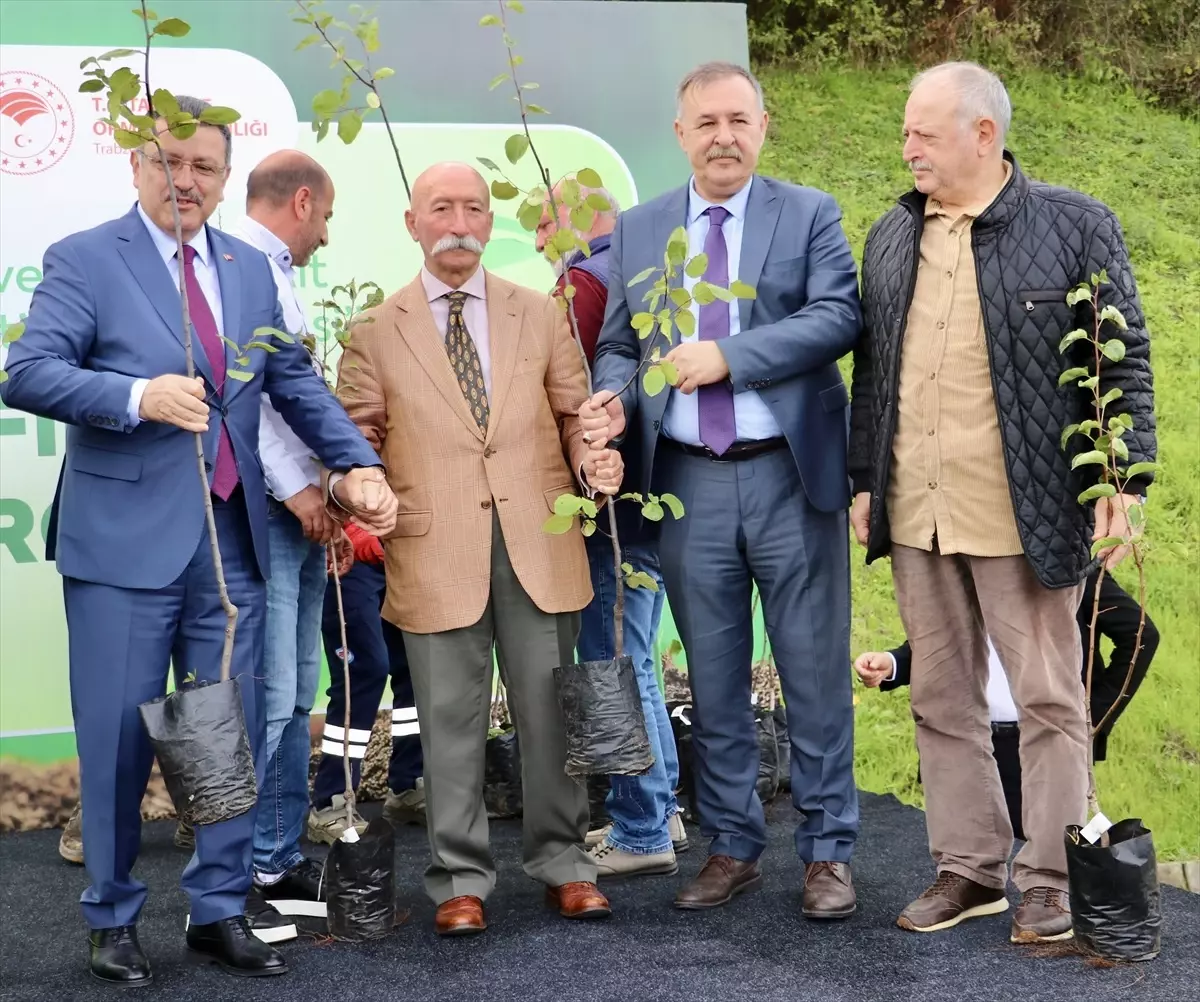 trabzonda yerel meyve turlerine fidan dagitimi yapildi nn4VzWD5.jpg