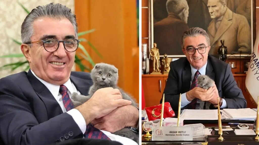 AKP’nin ‘çöktüğü’ Bayrampaşa’da, Hasan Mutlu’nun sahiplendiği kedi de binadan uzaklaştırılmak istendi