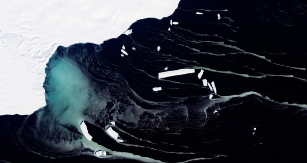 Buzun 450 metre altında tuhaf bir hayvan sürüsü tespit edildi